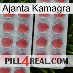 Ajanta Kamagra 19